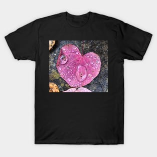 Wear Your Heart on Your Sleeve T-Shirt